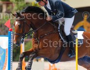 DI GIAMBERARDINO GIOCO CampITA2013- S5 0913 : Campionati Italiani 2013, Cattolica, DI GIAMBERARDINO DARIO, GIOCO DEL CASTEGNO, Horse Riviera Resort, foto di Stefano Secchi ©
